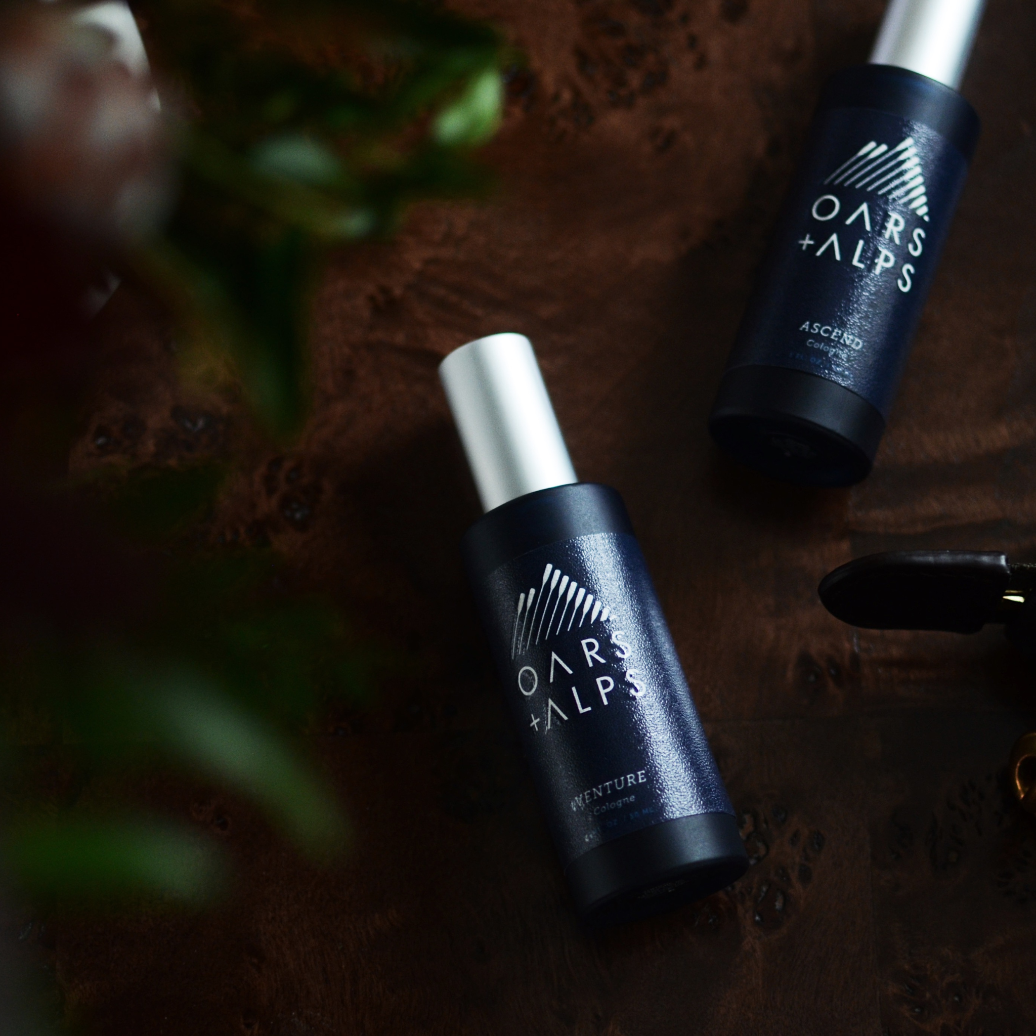 Oars + Alps Venture Cologne